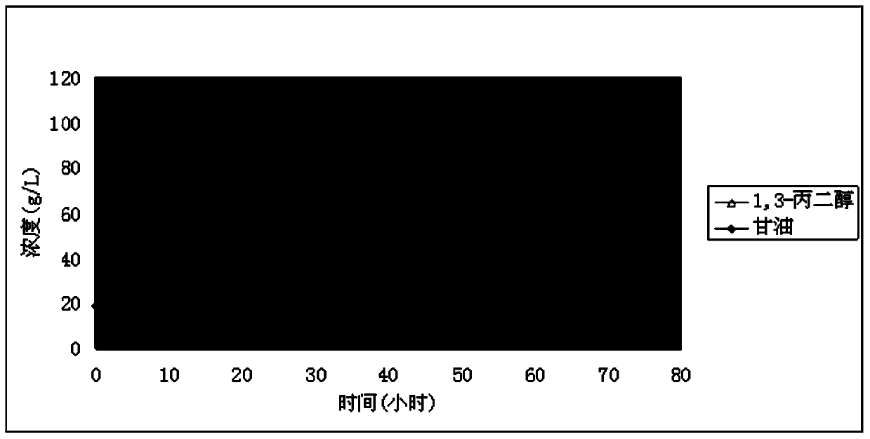 High yield microbe of 1,3-propylene glycol