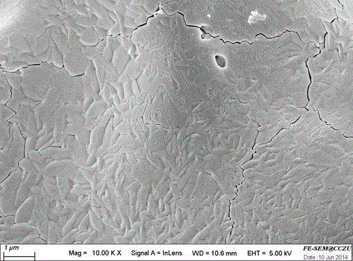 Method for preparing TiO2/Ta2O5 composite coating with special micro nano structure
