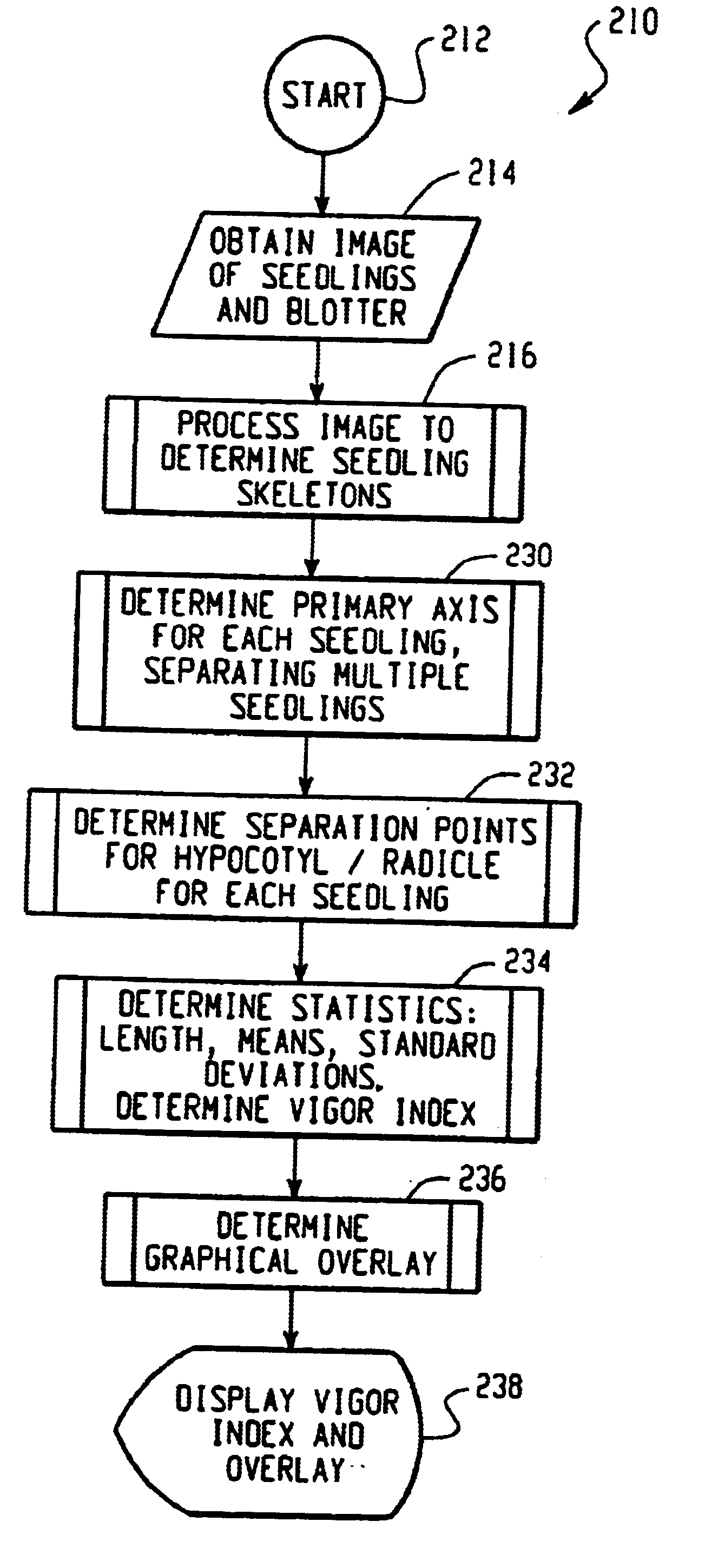 System and method for determining a seed vigor index from germinated seedlings by automatic separation of overlapped seedlings