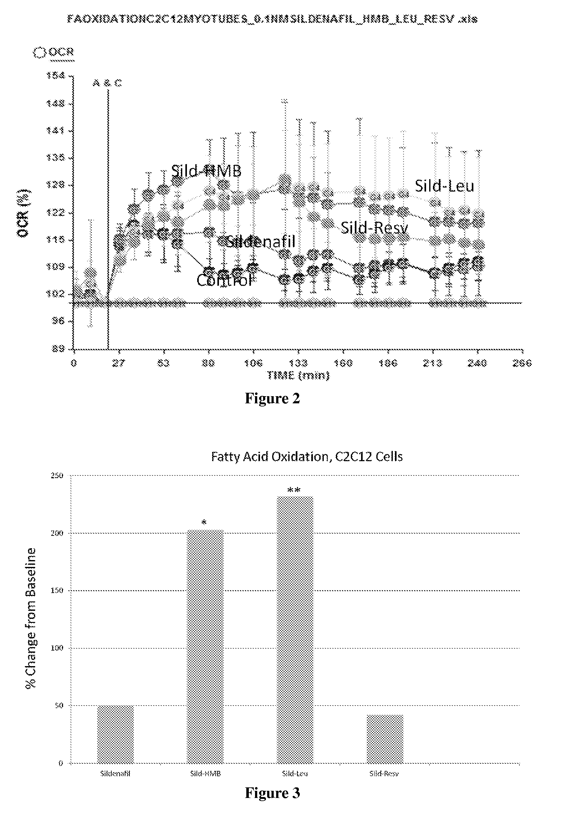 Compositions and methods for increasing energy metabolism
