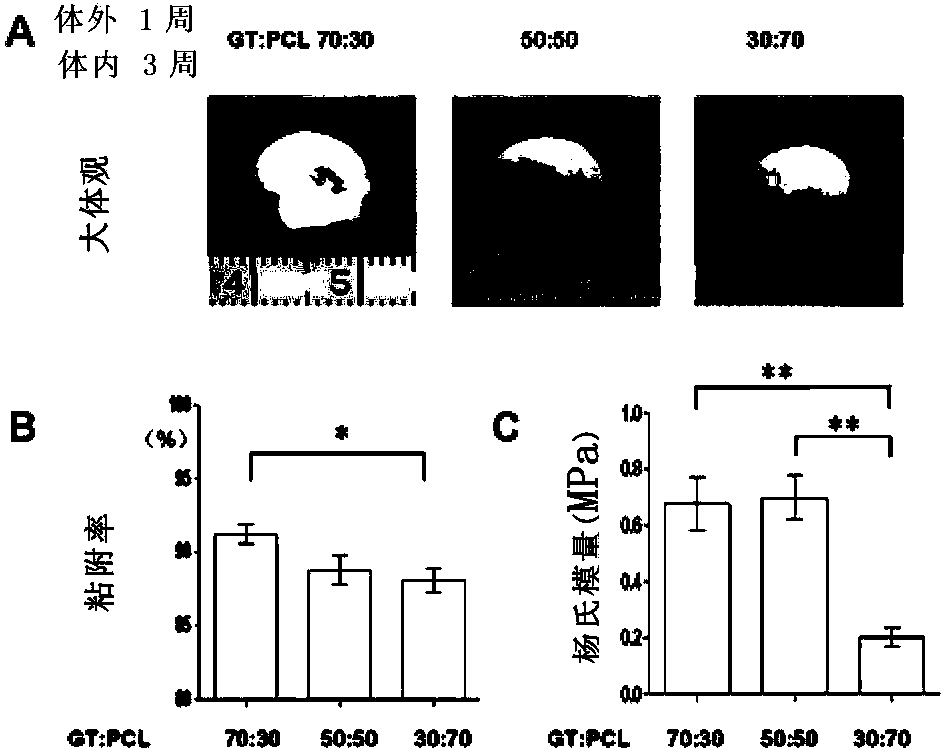 Method for constructing tissue engineering cartilage