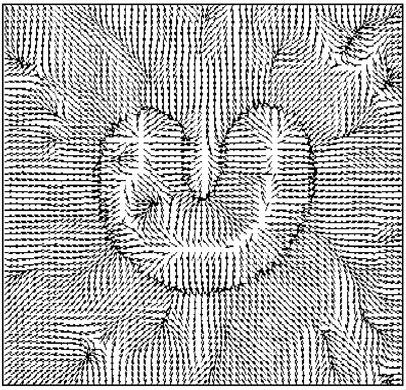 Image segmentation method based on distance potential field and self-adaptive balloon force