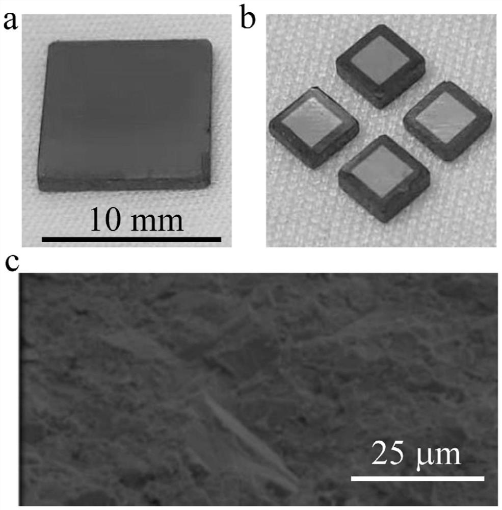 Preparation method of X-ray detector