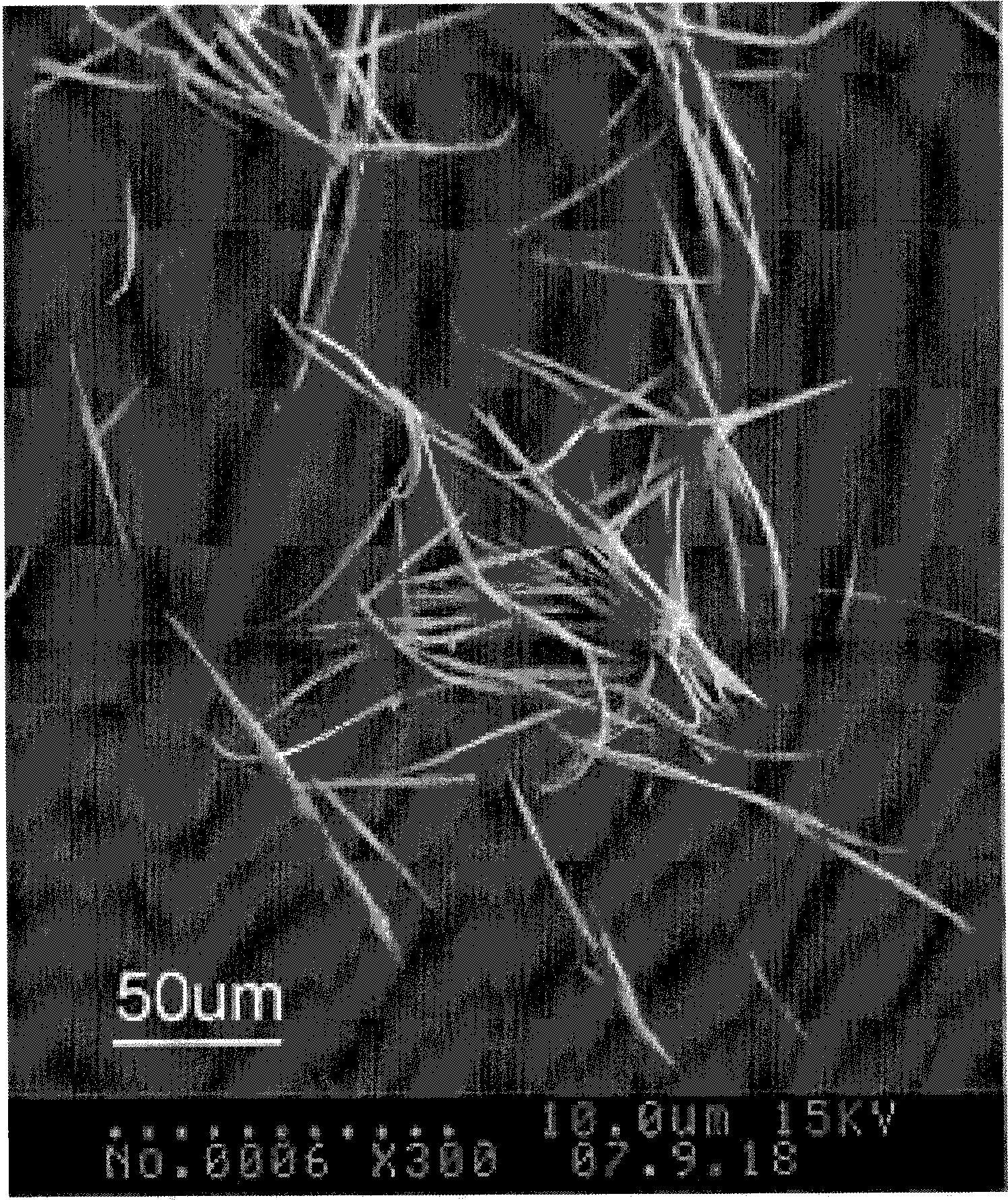 Method for separating and extracting fibrillar structure body in natural keratin fiber with reducing solvent
