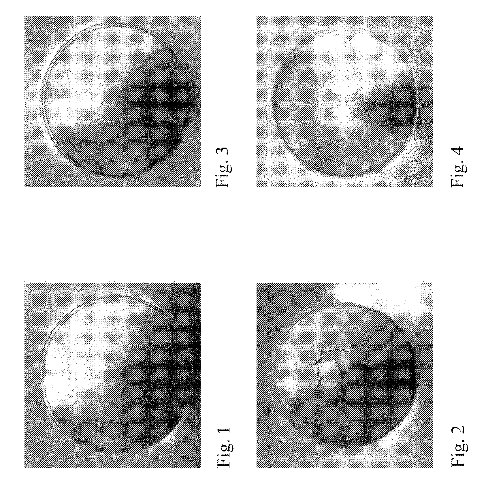 Process for coating a hot- or cold- rolled steel strip containing 6−30% by weight of MN with a metallic protective layer