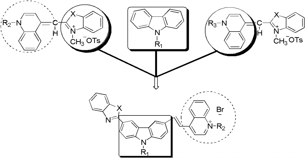Novel carbazole-bridge-based fluorescent cyanine dye probe and preparation method thereof