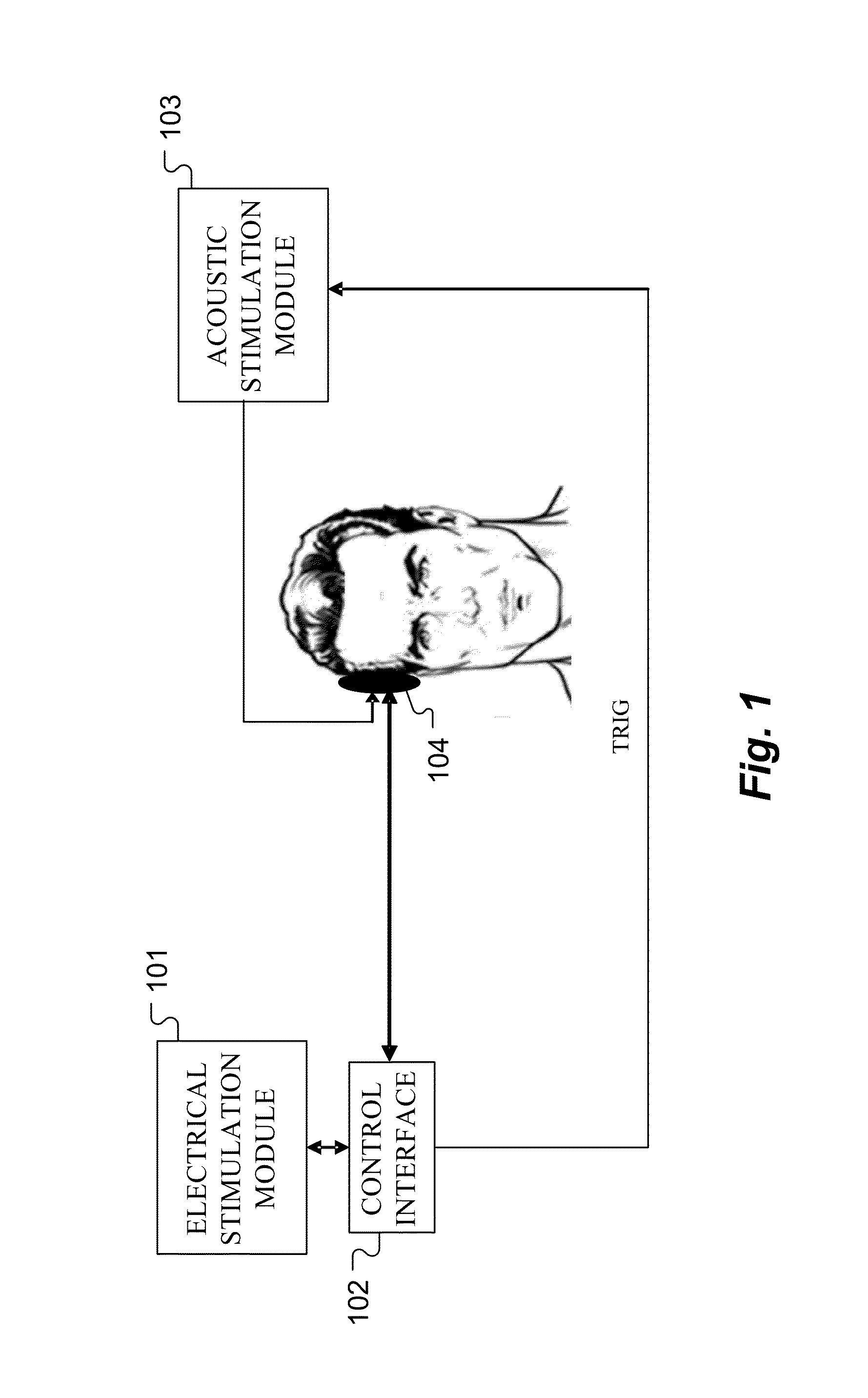 Artifact cancellation in hybrid audio prostheses