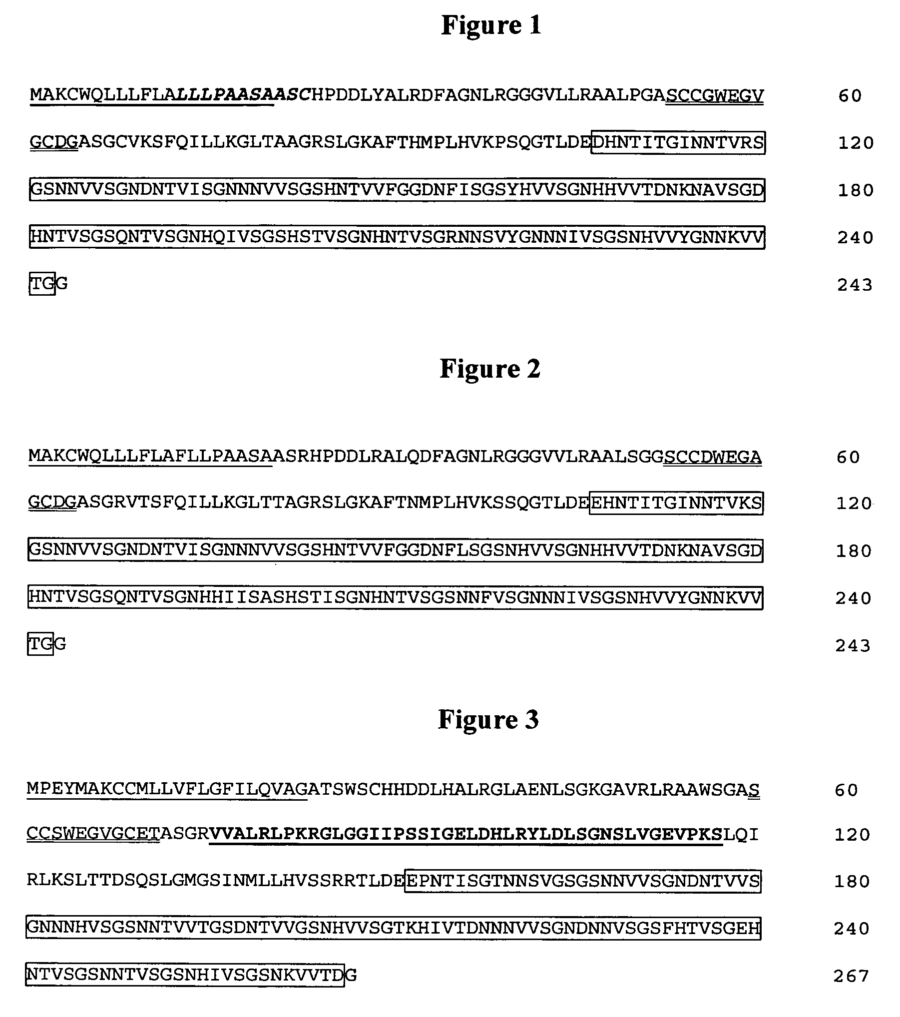 Antifreeze proteins isolated from forage grasses and methods for their use