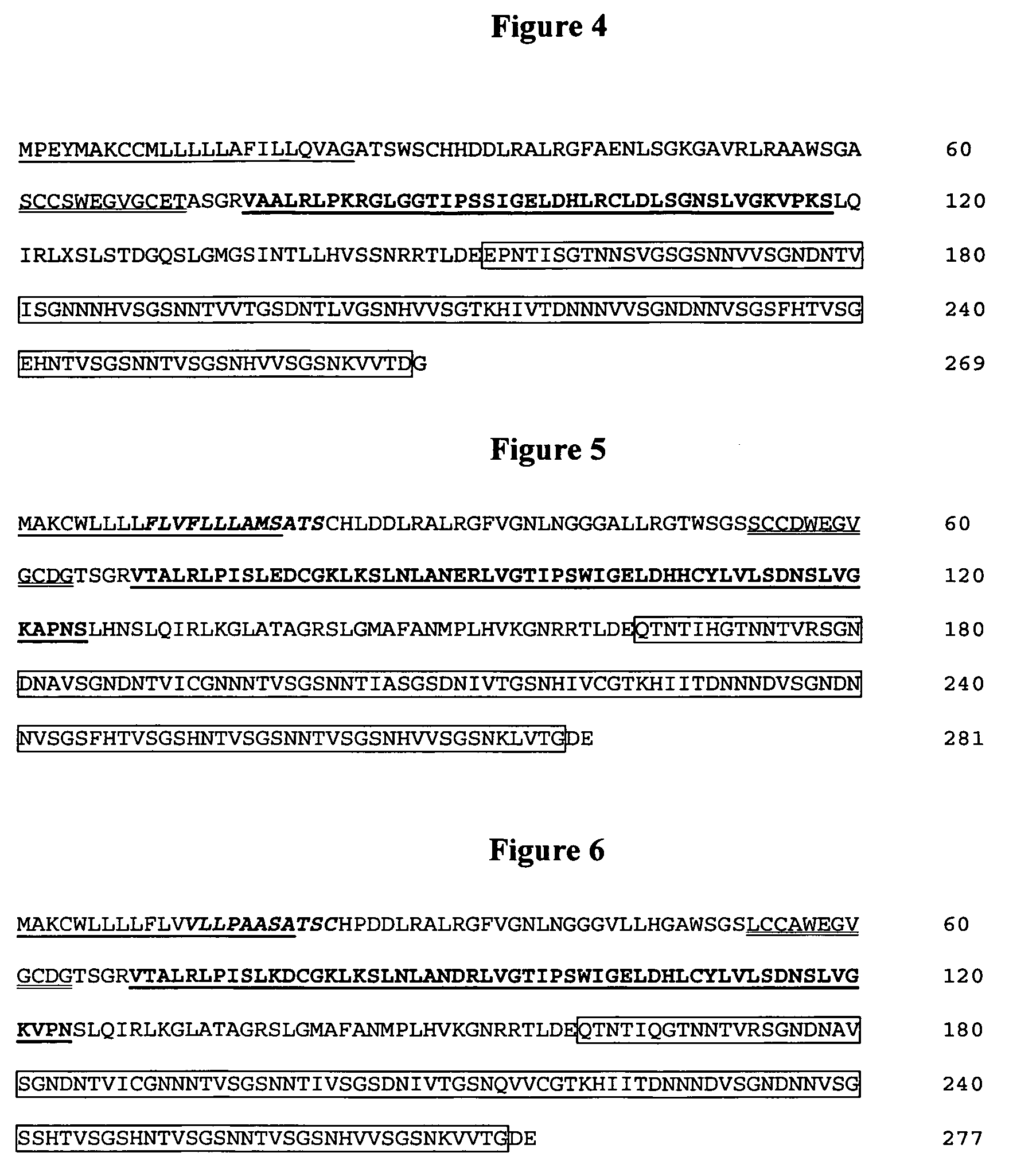 Antifreeze proteins isolated from forage grasses and methods for their use