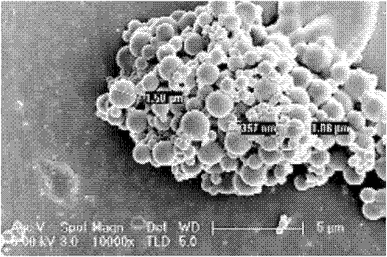 L-dopa methyl ester sustained-release microsphere composite and preparation method thereof