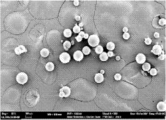 L-dopa methyl ester sustained-release microsphere composite and preparation method thereof