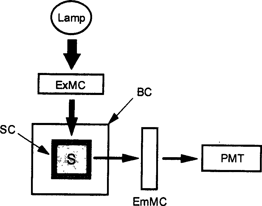 Fluorescent capillary reaction apparatus and fluorescent capillary analytical method