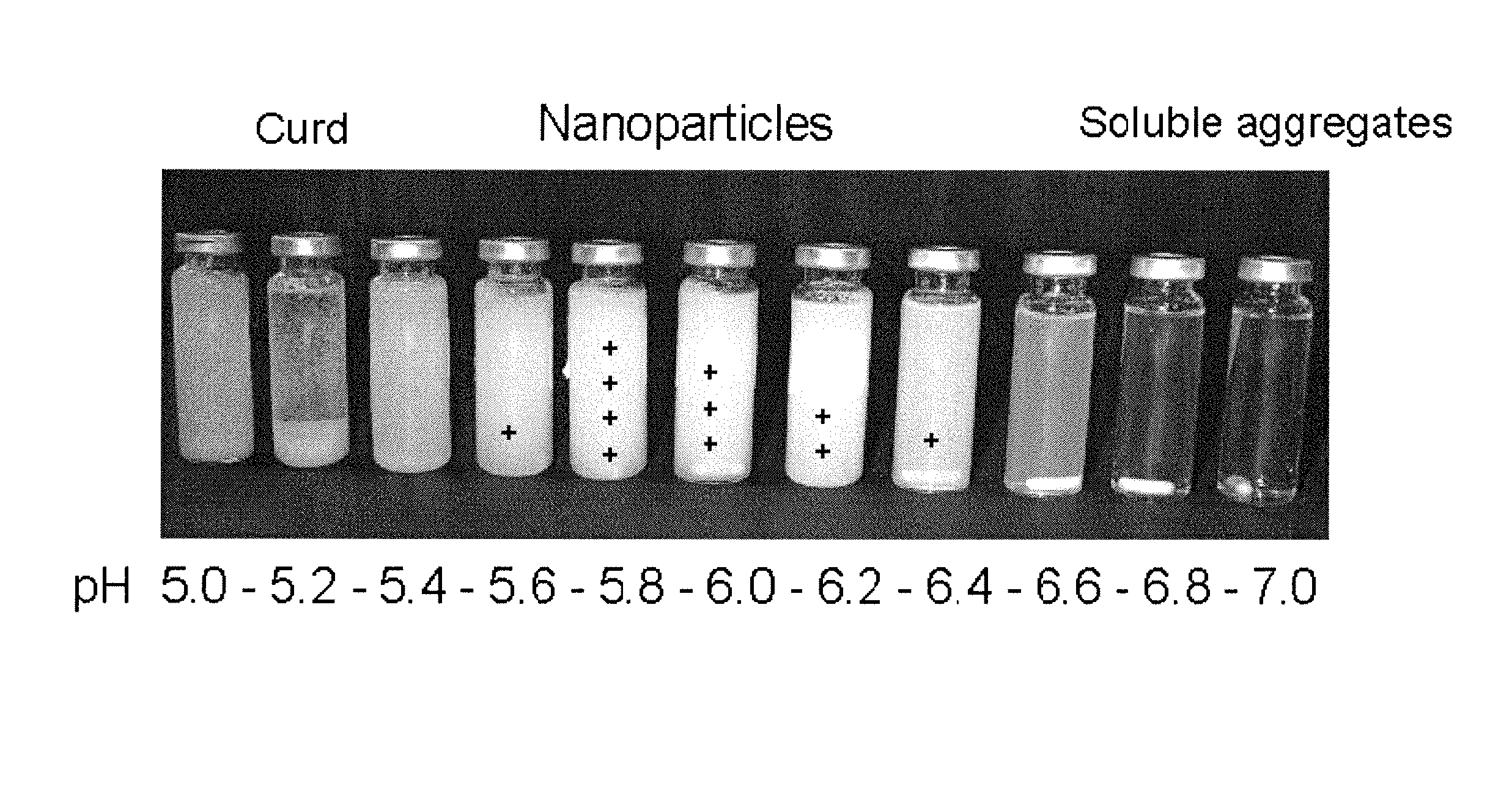 Nanoparticulated whey proteins