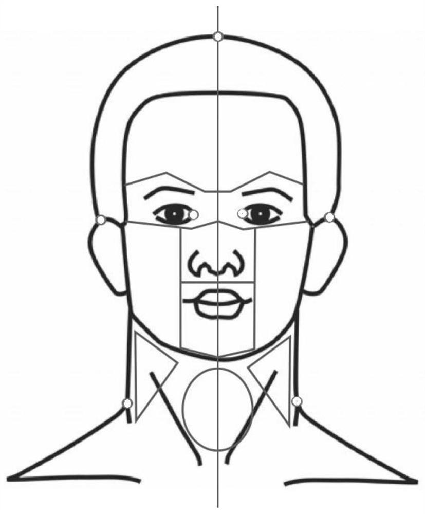 Head and face thermal field distribution algorithm-based infrared thermograph partitioning method and device