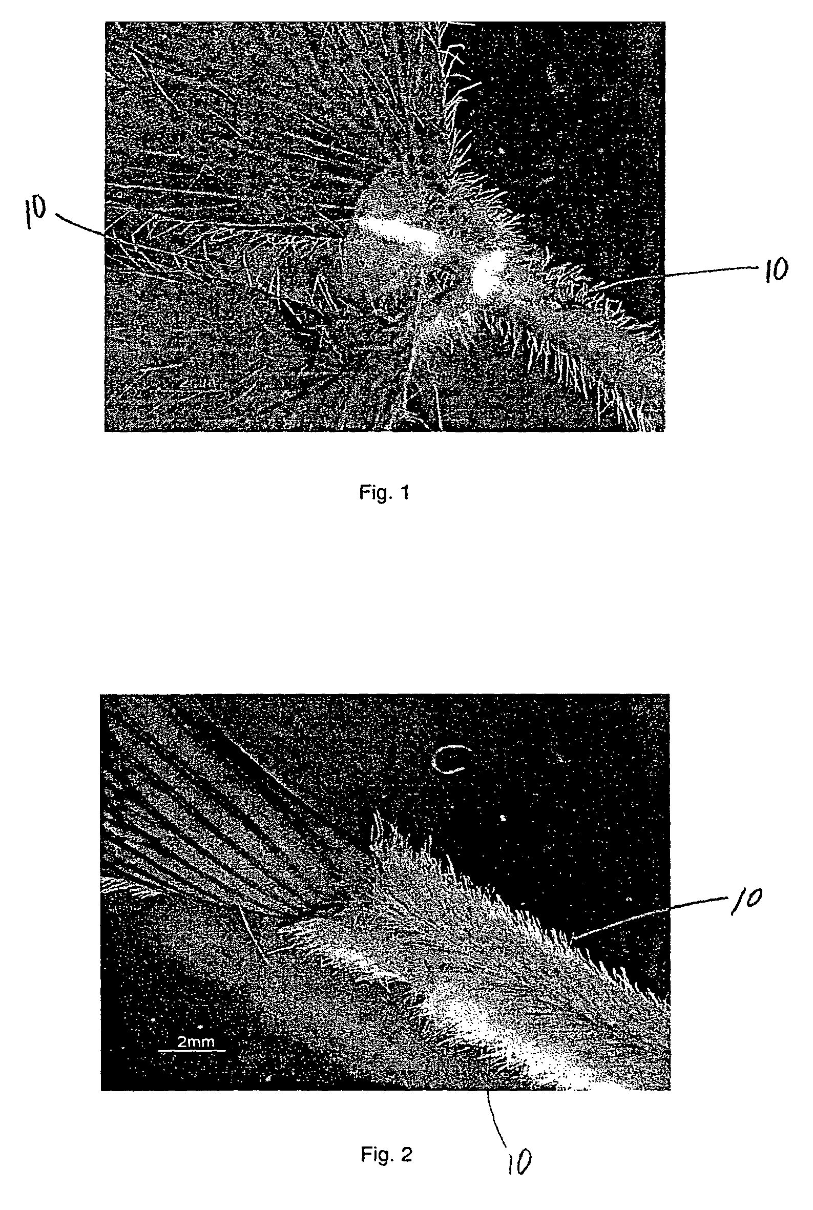 Individualized trichomes and products employing same