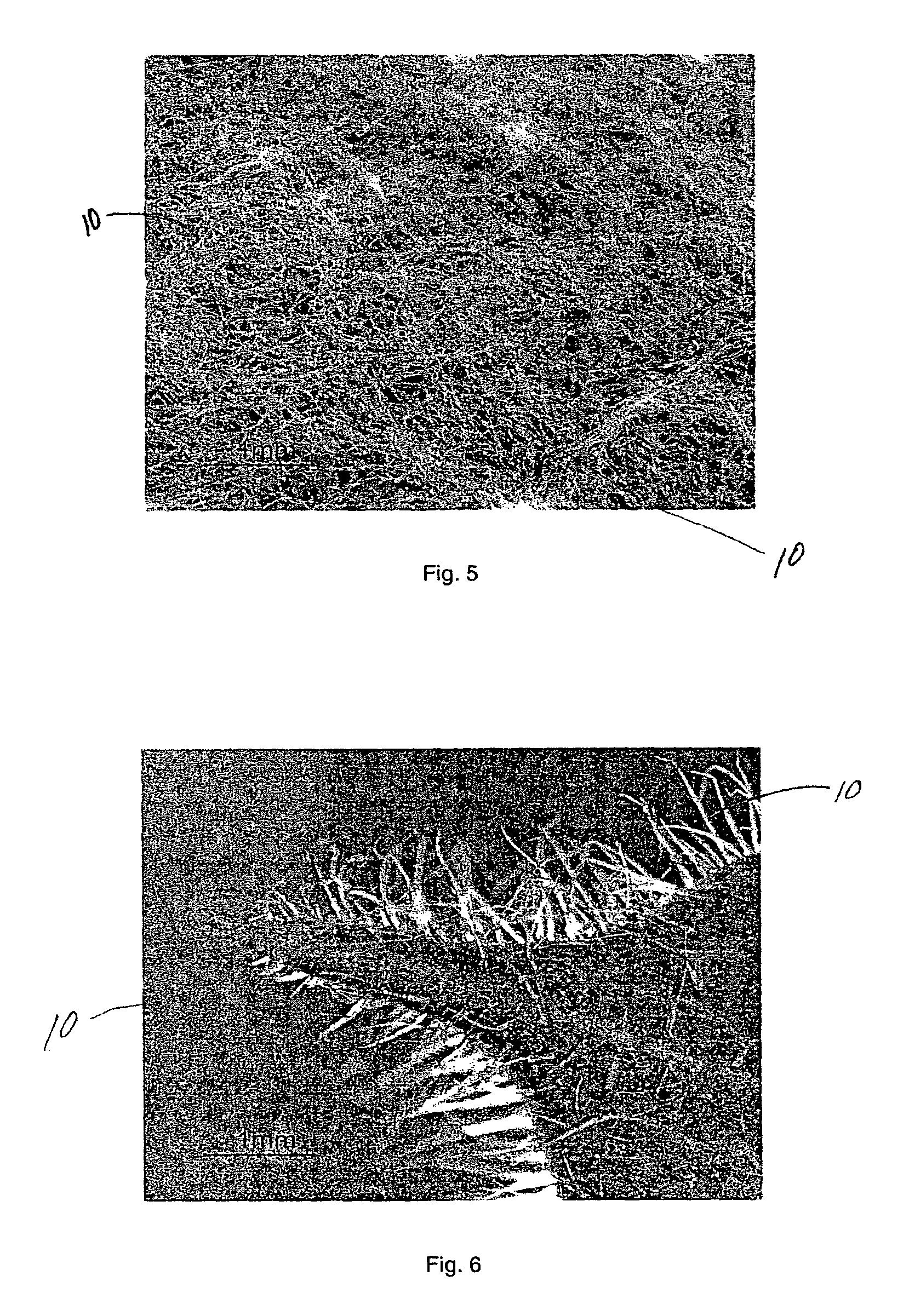 Individualized trichomes and products employing same