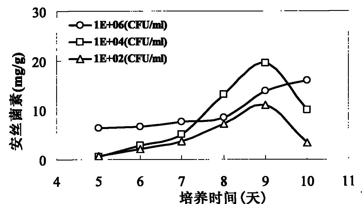 Solid fermentation method of ansamitocin