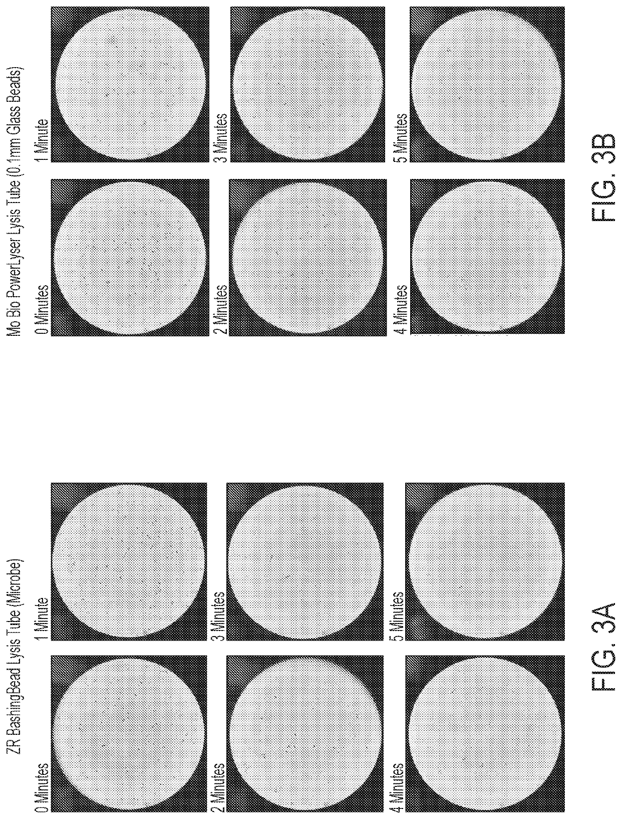 Automated method for release of nucleic acids from microbial samples