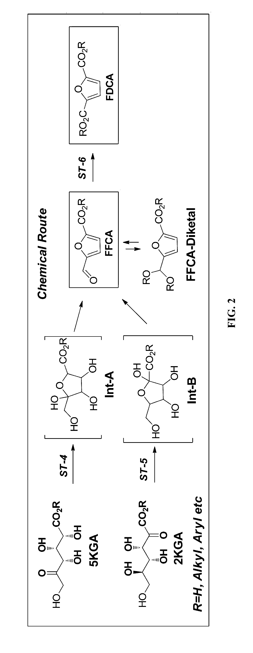 Synthesis of FDCA and FDCA precursors from gluconic acid derivatives