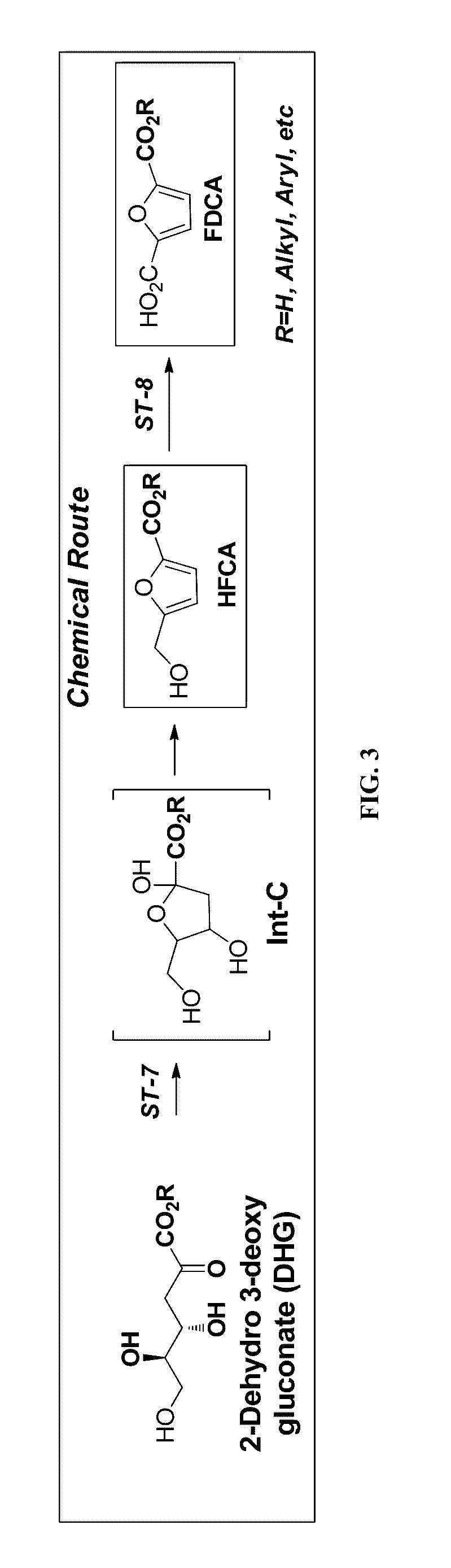 Synthesis of FDCA and FDCA precursors from gluconic acid derivatives
