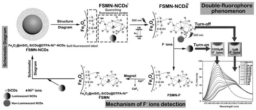 A method for detecting and removing fluoride ions