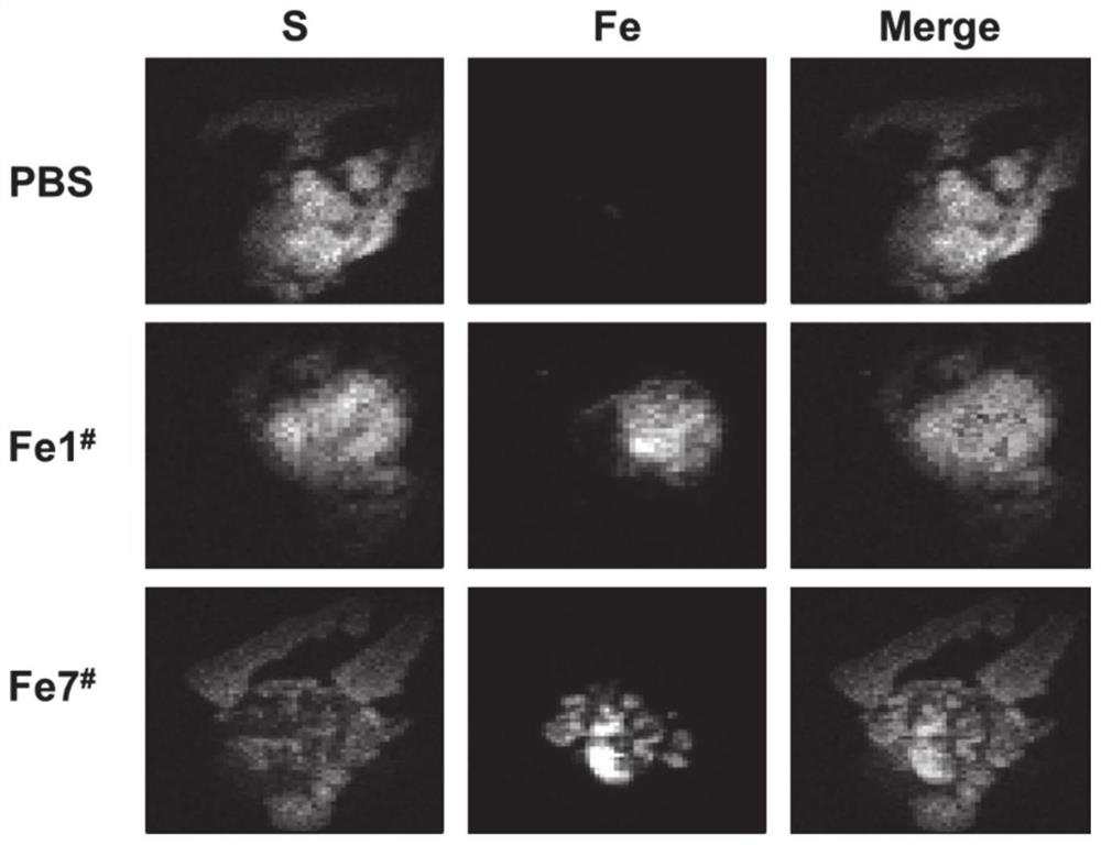 Ultra-small nano immunopotentiator-antigen composite nanoparticle and preparation method and application thereof