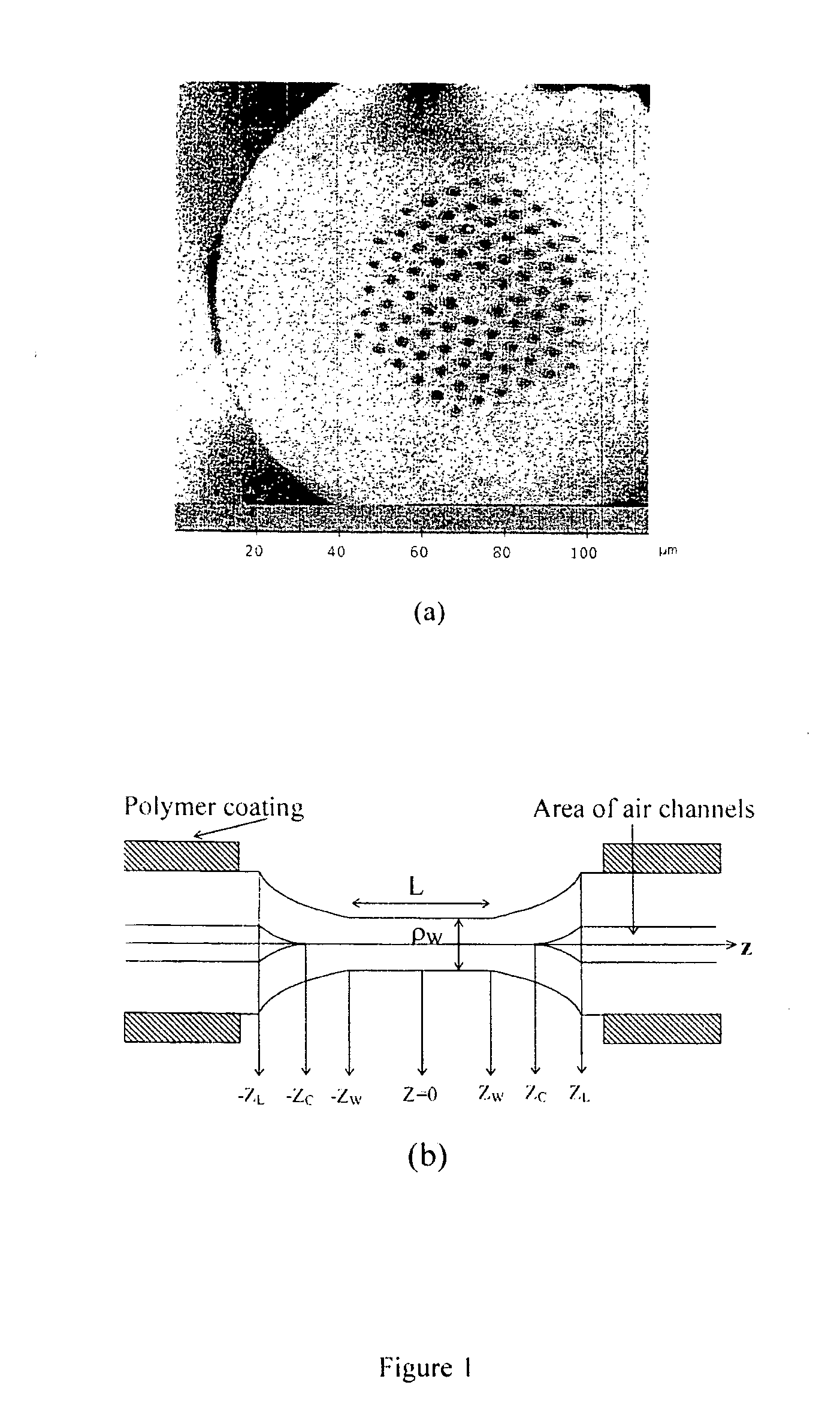 Holey fiber taper with selective transmission for fiber optic sensors and method for manufacturing the same