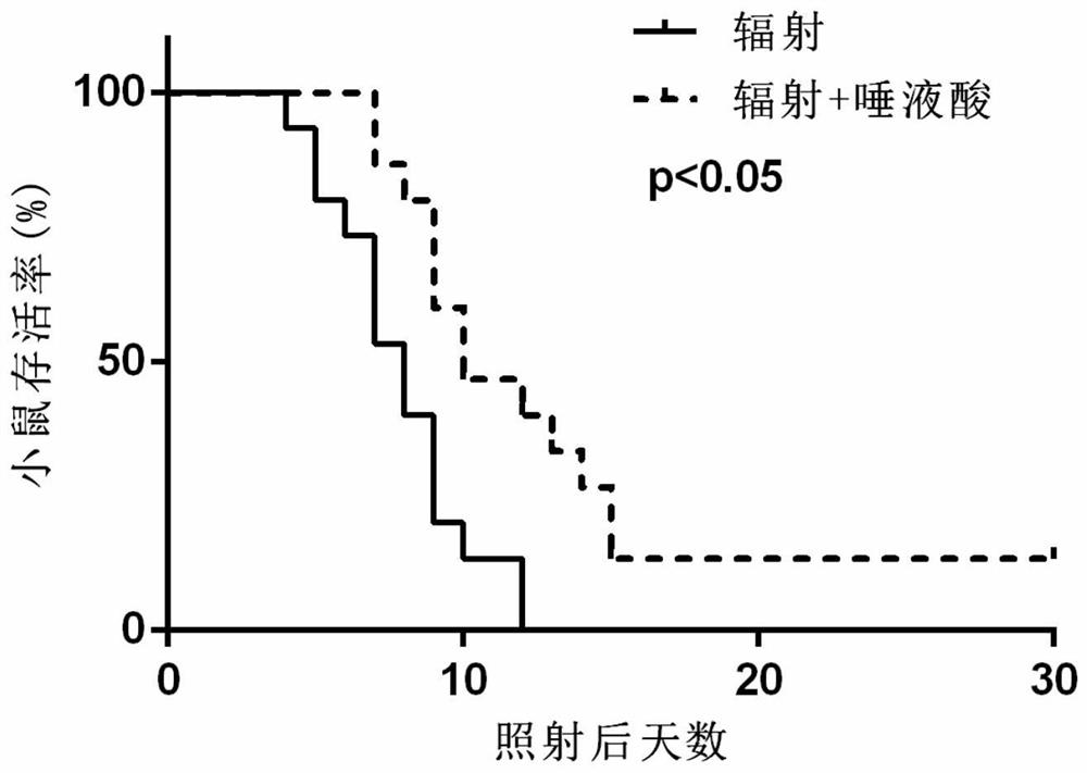 Application of sialic acid in the preparation of protective drugs for intestinal tract or dna damage caused by ionizing radiation