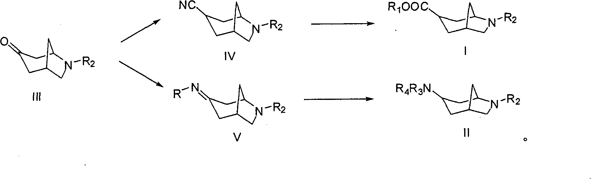 6-azabicyclo (3.2.1) nonane-3-substituted derivative and preparation method thereof