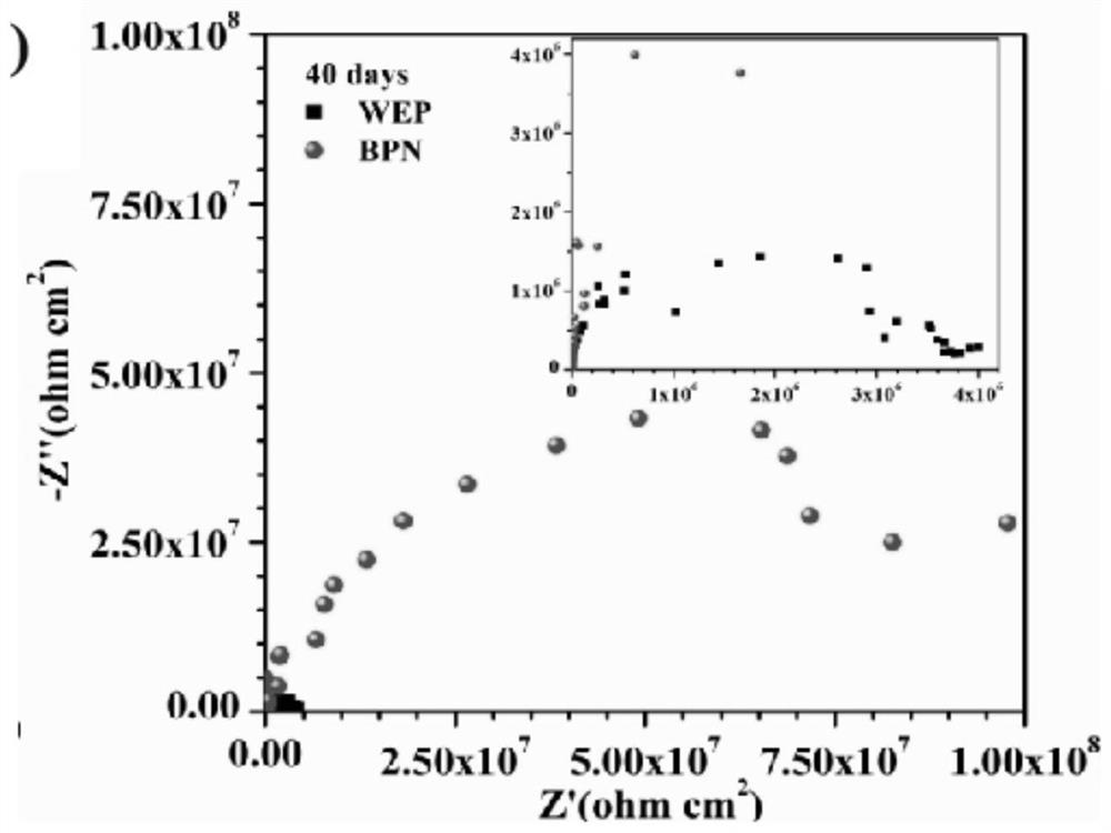 Anticorrosive and flame-retardant epoxy resin coating and preparation method thereof