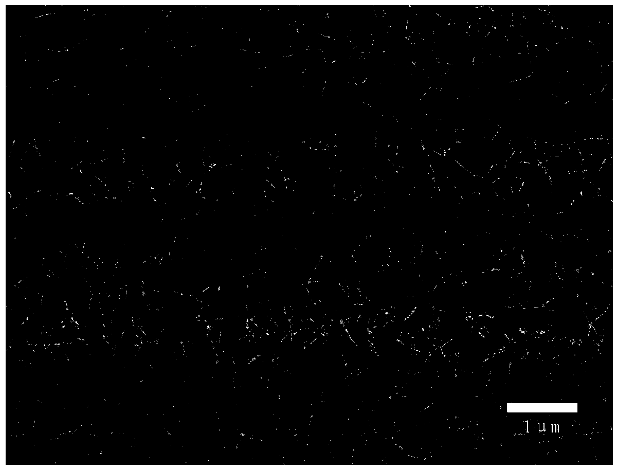 Preparation method of optical frequency band metamaterial based on gold-branch-shaped units