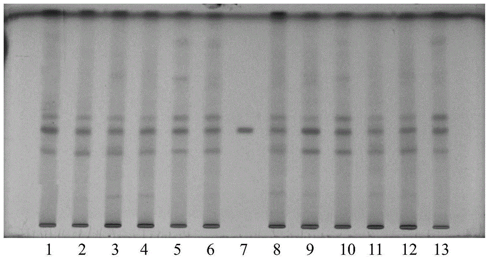 A kind of TLC rapid identification method of lime