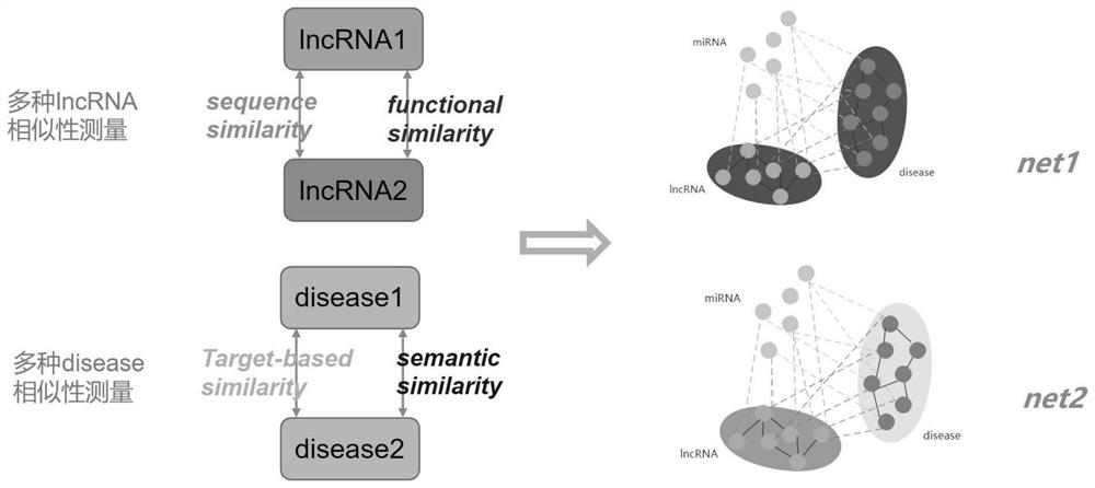 IncRNA and disease association prediction method fusing heterogeneous network and graph neural network