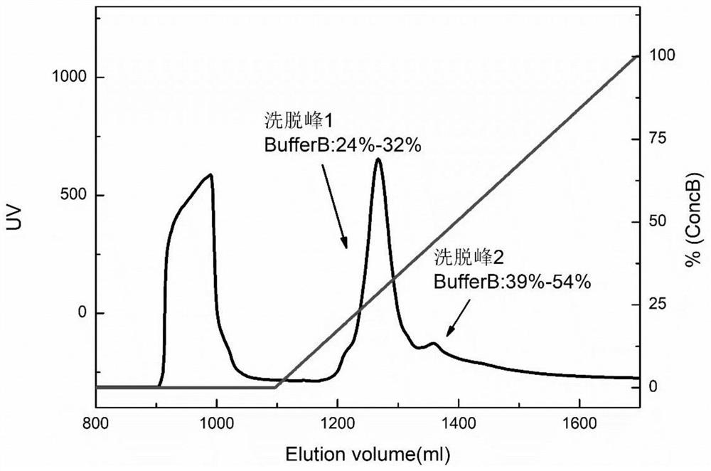 Non-animal-source chondroitin sulfate oligosaccharides and preparation method thereof