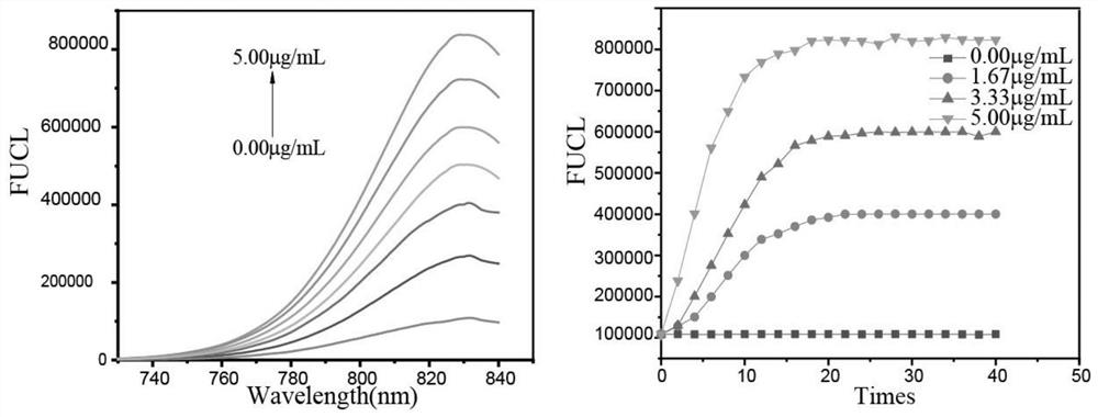 Near-infrared frequency up-conversion fluorescence molecular probe, preparation method and application