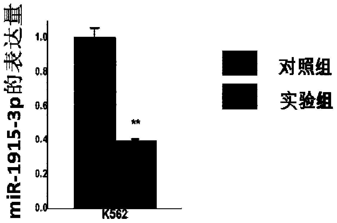 Nucleic Acids and Their Uses