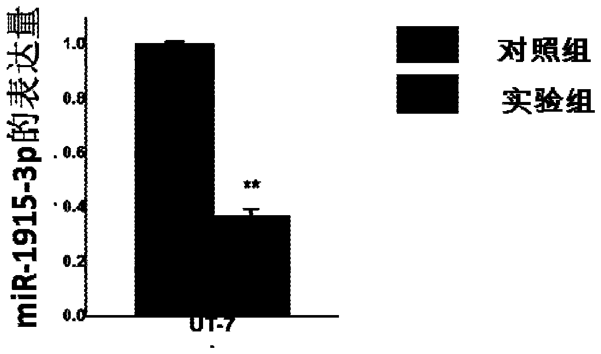 Nucleic Acids and Their Uses