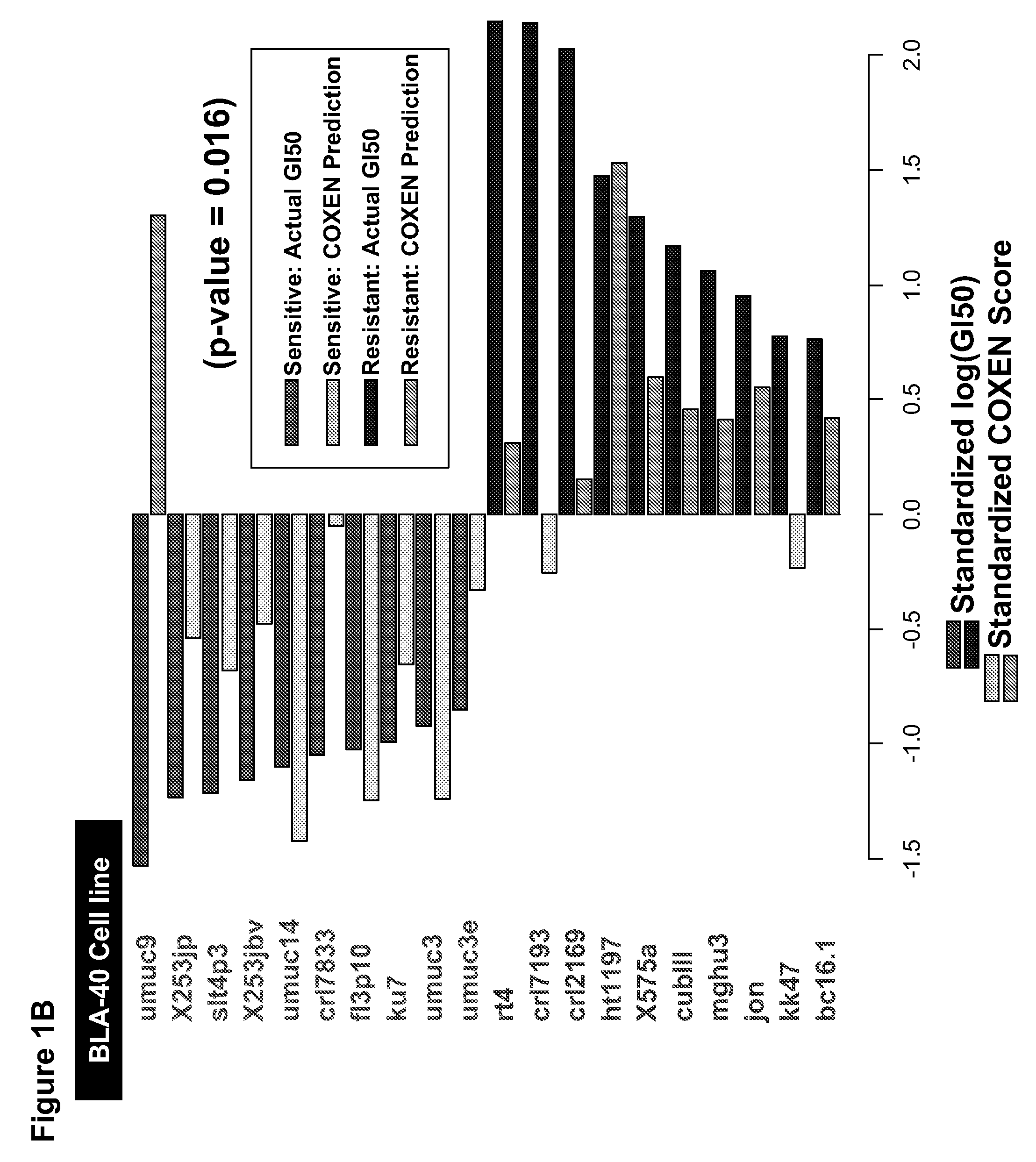 Prediction of an agent's or agents' activity across different cells and tissue types