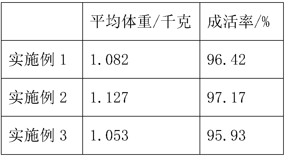 Feed for feeding turbot and preparation method of feed