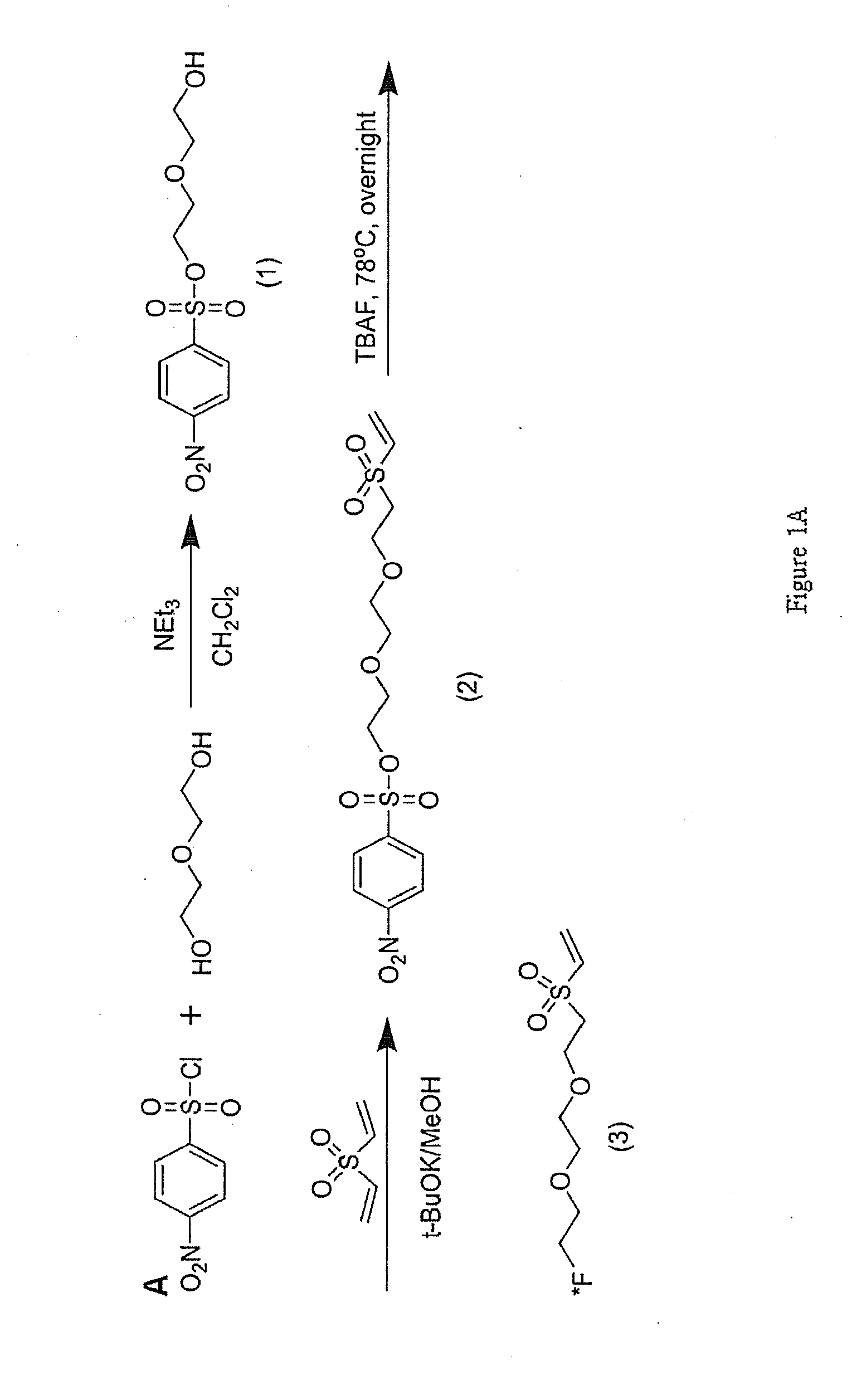 Vinylsulfone-based 18F-labeling Compositions and Methods and Uses Thereof