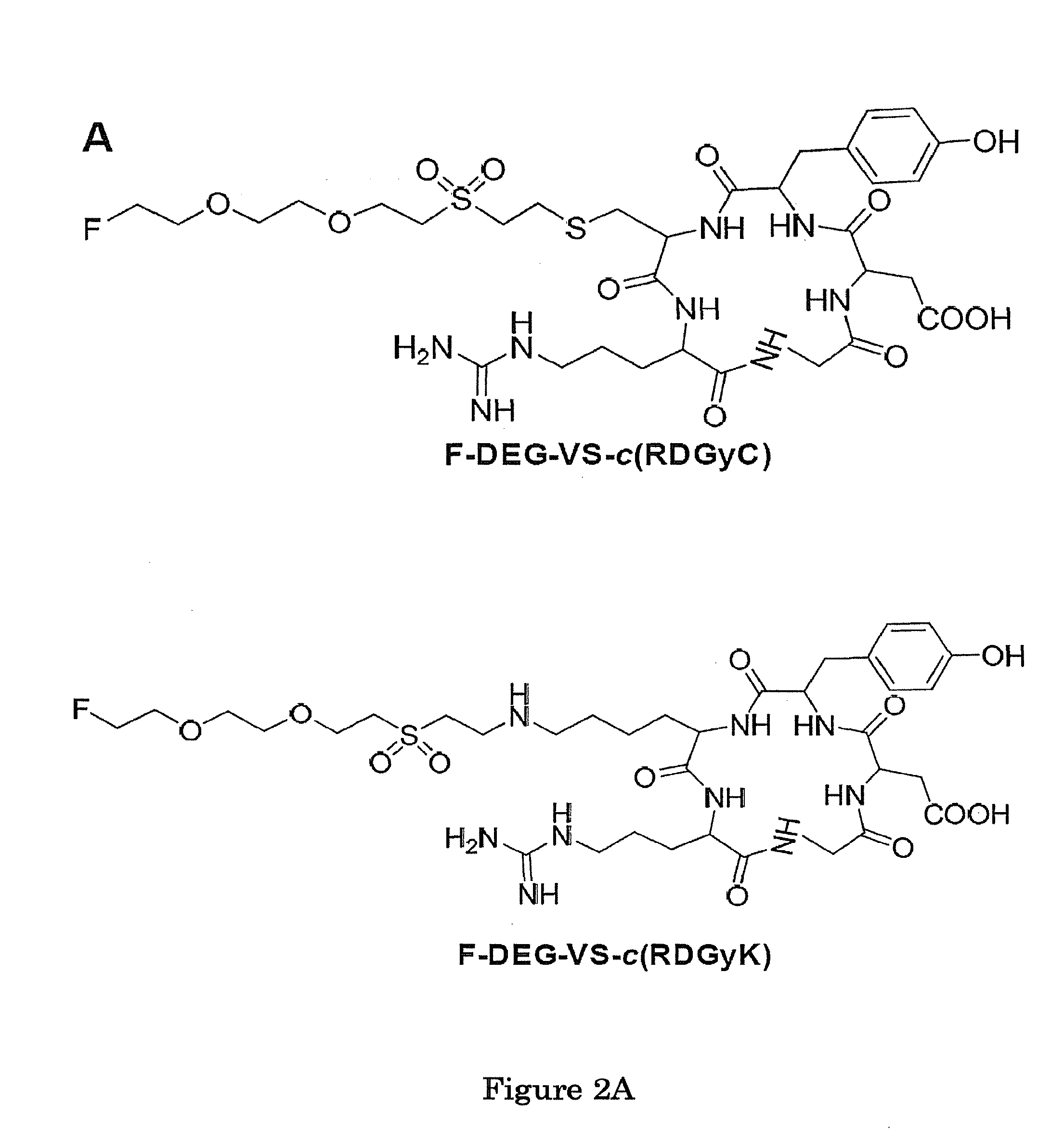 Vinylsulfone-based 18F-labeling Compositions and Methods and Uses Thereof