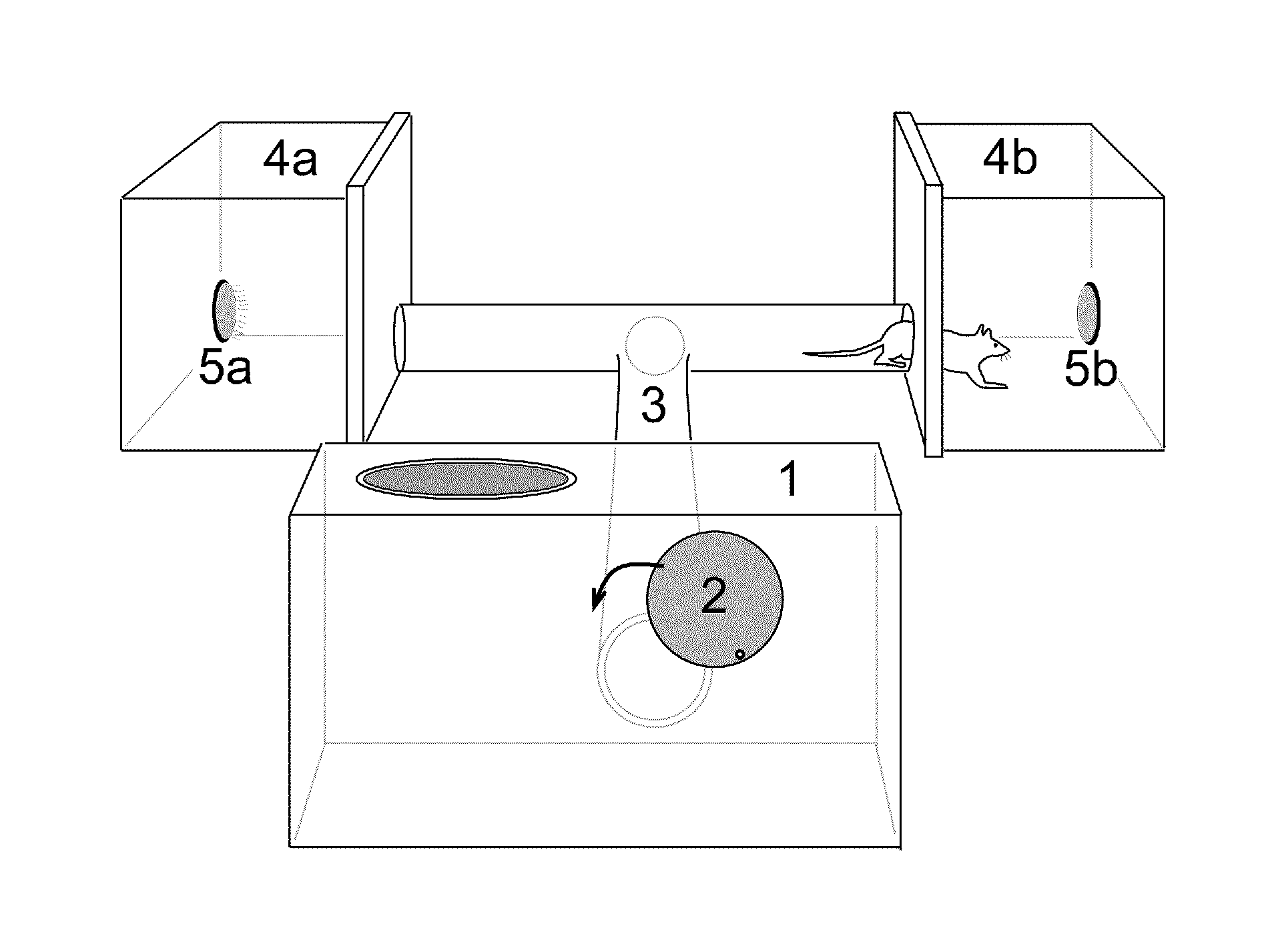 Methods and apparatus for attracting rats
