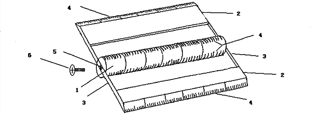 Cylinder and straight piece integrated ruler