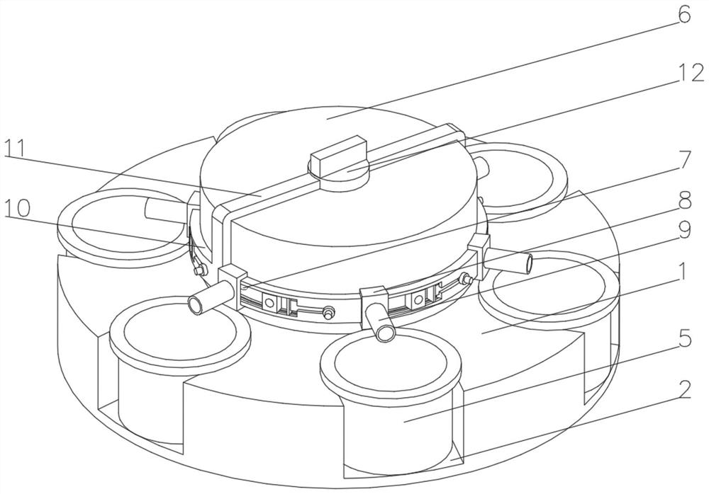 Citrus seedling cultivation device