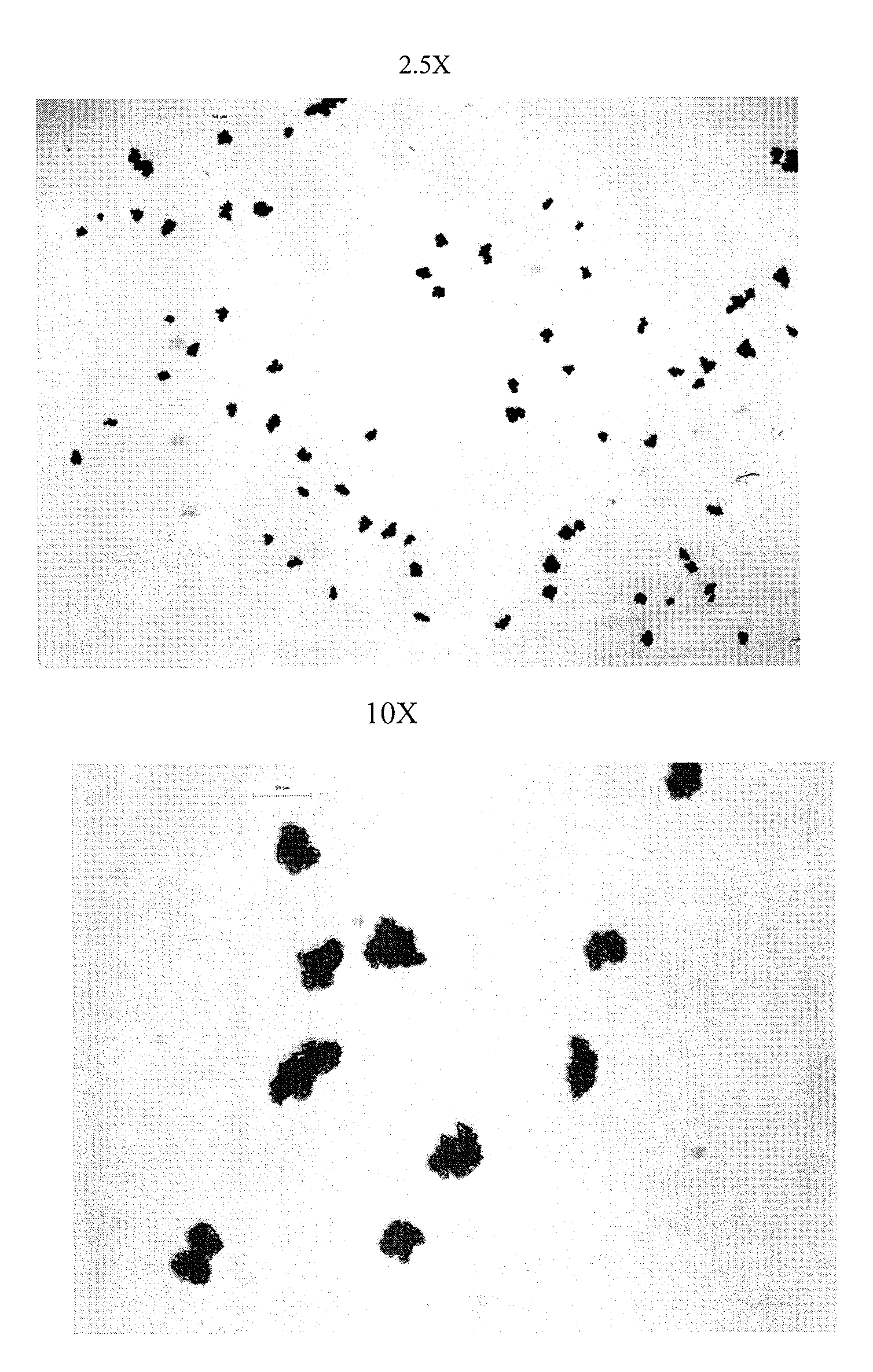 Fexofenadine Microcapsules and Compositions Containing Them