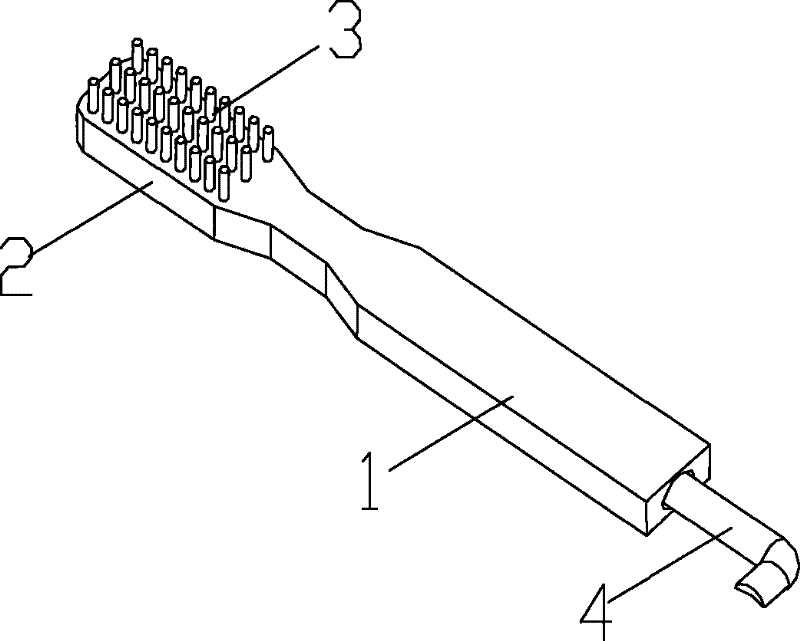 Toothbrush with tooth scaler