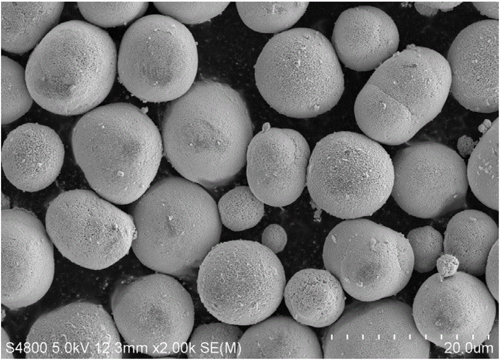 Sodium-doped lithium-rich manganese-based solid solution anode material and preparation method thereof