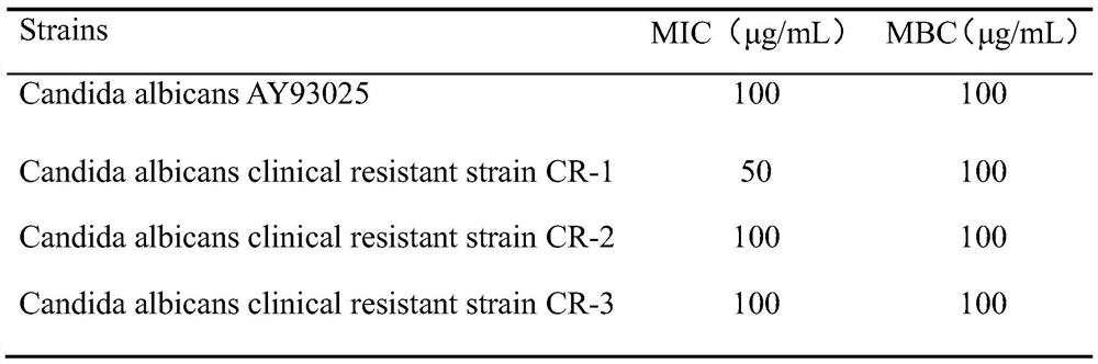 A kind of anti-candida albicans polypeptide and its application