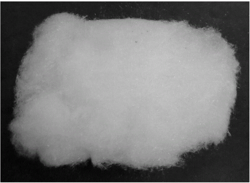 Ultrahigh-temperature magnesium oxide fibre product and preparation method thereof