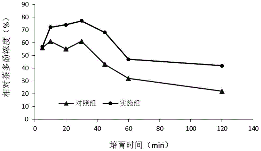 Preparing method for high-performance dendrobium officinale tea polyphenol compound